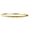 Plata de la pulsera 925 de la joyería del oro con el brazalete del chapado en oro 18K para la mujer